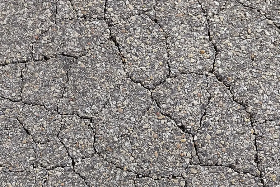 Alligator cracking across an aged asphalt surface